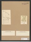 Triceratium picturatum Grev. (de-Toni-Nr.: Genus 140, Species 3956) Zeichnungen Sammlung Grunow Nr. 7436 (NHMW-BOT-W0376520)